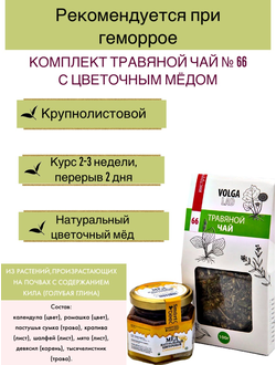 Травяной чай Волгаладь № 66 с медом цветочным, лечебный комплект, 70/140 г
