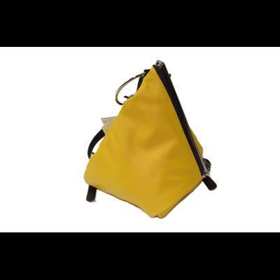 Сумка - рюкзак Renato Angi желтый