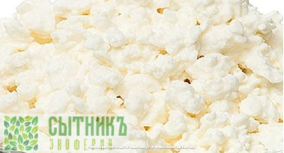 Домашний творог фермерский не жирный купить с доставкой на дом