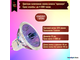 BLV WhiteStar EXT 6500K 50w 12v 12° GU5.3