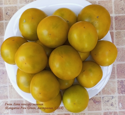 Томат Гном Лапа кенгуру зеленый (Dwarf Kangaroo Paw Green)