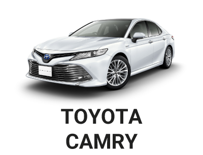 TOYOTA CAMRY Электро подъемник крышки багажника