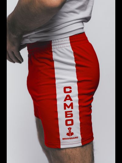 Шорты для самбо ВФС BRAVEGARD Победа красные