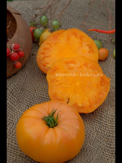 Томат Apricot Brandywine (Абрикосовый Брендивайн), 10 шт