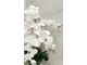 Композиция из искусственных цветов, орхидея белая № ОР003
