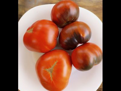 Томат Оранжево-красный Блюз (Orange red Blues)