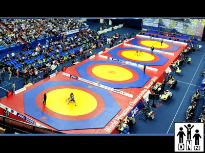 Помост для 4х борцовских ковров OLIMPIADA 22х64х1м DNN