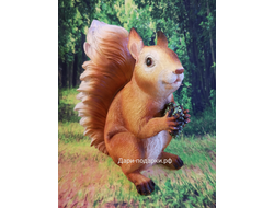 БЕЛКА с шишкой  21*16см  1,5кг  полистоун Россия 898//012809