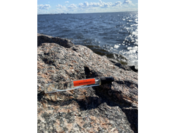 Духи НОТА: УСТА САХАРНЫЕ, 10 мл