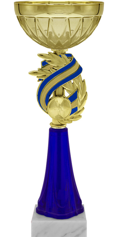 КУБОК САПСАНА 6608