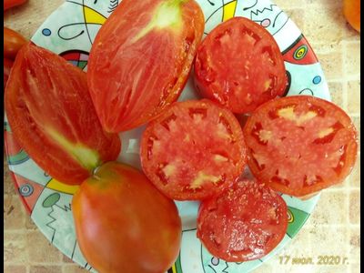 Томат Подсинское чудо