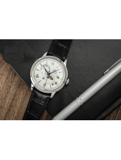 Мужские часы Orient RA-AK0802S