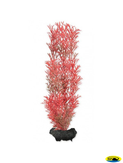 270411 Растение аквариумное Red Foxtail (М) 23см с утяжелителем