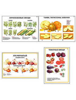 Плакаты ПРОФТЕХ "Ассортимент овощных культур" (12 пл, винил, 70х100)