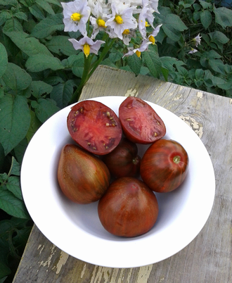 Семена томата Сердце Марши