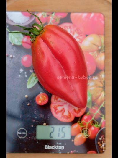 Томат Тюльпан Розовый, 5 шт