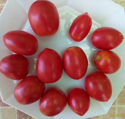 Томат Сахарная слива малиновая