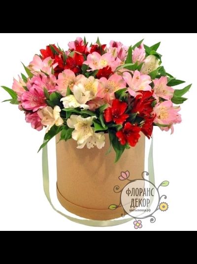 Композиция №6