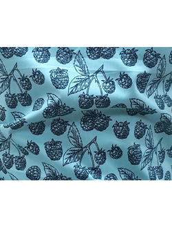 Хлопок 100%  Ника 170472 Цвет 1