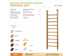Детский спортивный комплекс КАРУСЕЛЬ Д217 купить в Воронеже