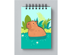 Блокнот Капибара, Kapibara-san №12