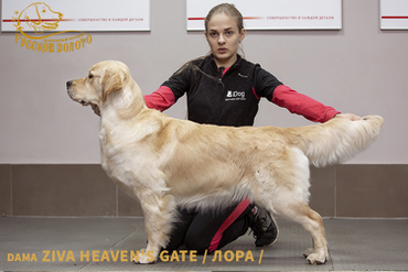 2 года. Чемпионы тоже ходят на тренировки