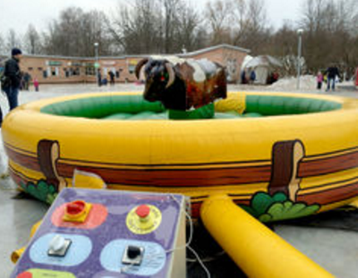 Аттракцион Бык родео «Стандарт»