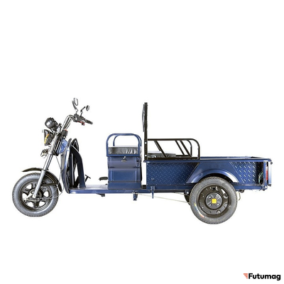 Грузовой электротрицикл Rutrike D1 1200 60V900W синий