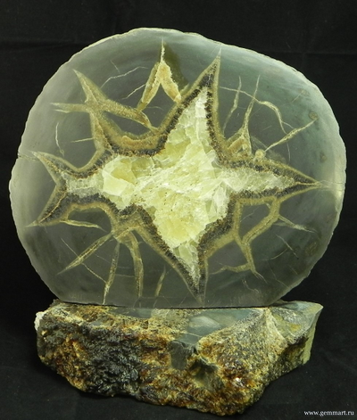 Септария - полированный спил