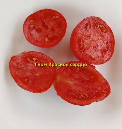 Томат Гном Красное сердце, (Dwarf Red Heart)