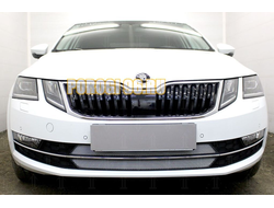 Защита радиатора Skoda Oktavia А7 2017- chrome