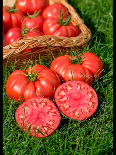 Томат Costoluto di Lenno (Костолуто ли Ленно), 10 шт