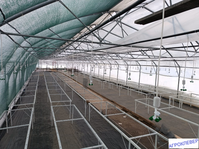 Система тумана низкого давления (480м2) 9,6 х 50м расход 5,2м3/ч (без ёмкости)