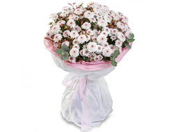 11 хризантем сантини