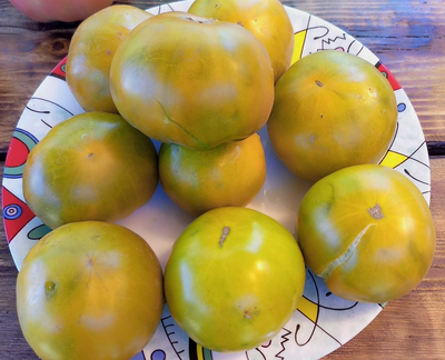 Томат Зеленый ананас (Green Pineapple), США