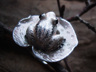 "Бархатная весна", необычное арт-нуво кольцо с лягушкой и жемчужиной