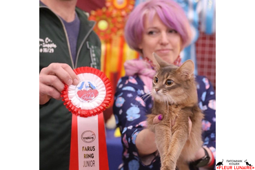 Выставка кошек с "Экспофорум"? Tavrida Fleur Lunaire