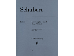 Schubert: Impromptu in c minor op. 90 №1 D 899