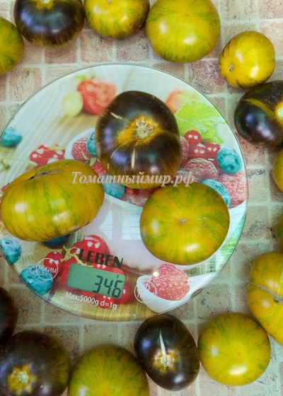 Томат Зеленая богиня Ксанаду (Xanadu Green Goddess), США