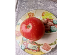 Томат Олимпийский огонь