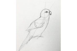 Тема: "Светотень. Объем"
Рисунок