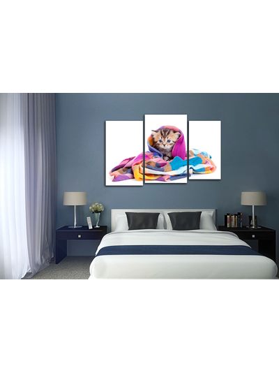 Модульная картина "Котенок в шали"