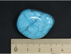 Говлит тонированный, галтовка, Зимбабве (31*25*17 мм, 21 г) №21451