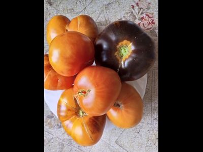 Томат Чупа-чупс (Chupa-Chups)