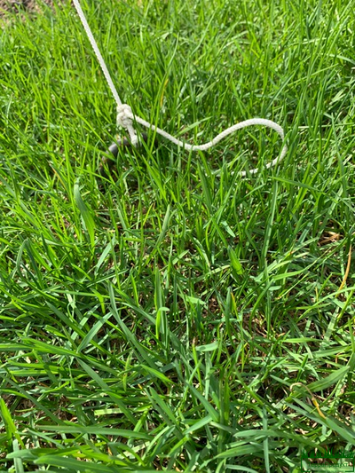 Анкер для крепления шатров купить в Москве,анкер для крепления палаток, анкер для крепления деревьев