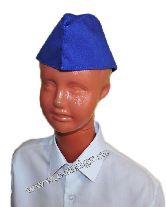 Птс синяя бумажка