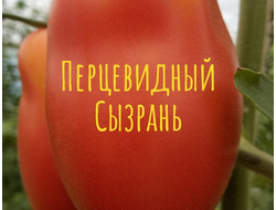 семена томаты "Перцевидный из Сызрани" 10 шт.