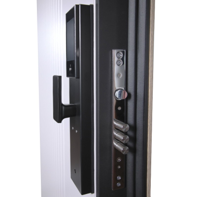 Электронный замок Smart lock DZ 888