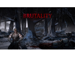 Игра Mortal Kombat  X (PS4)