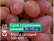 Масон